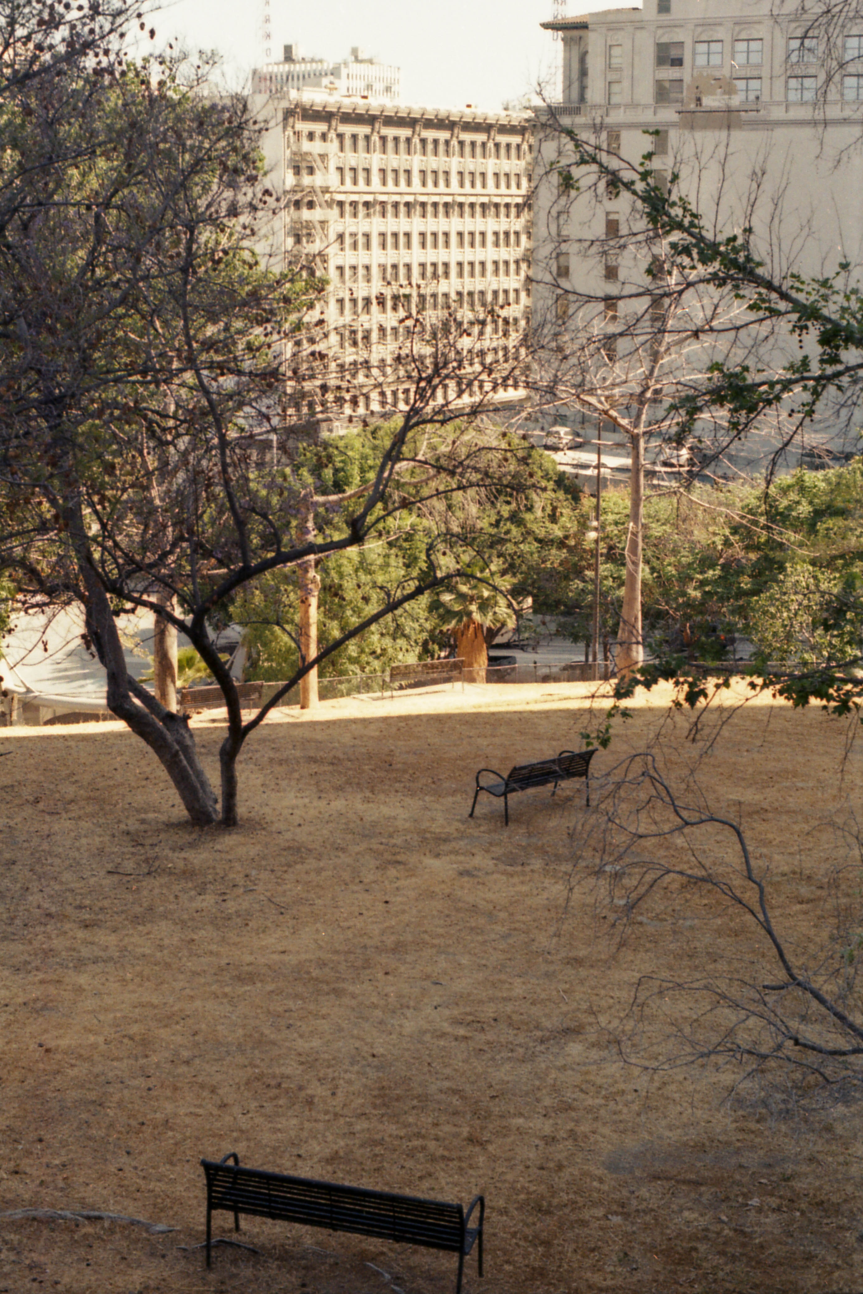 Benches at an empty park